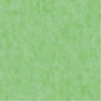 やよいカラー　８ツ切１００枚　わかくさ