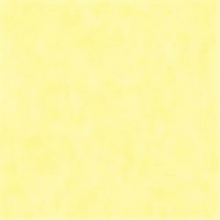 やよいカラー　８ツ切１００枚　うすきいろ