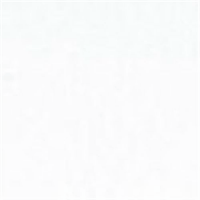 やよいカラー　８ツ切１００枚　しろ