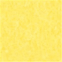 やよいカラー　８ツ切１００枚　ひまわり