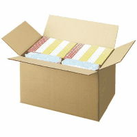 ダンボール箱　大大　Ｂ０２２Ｊ－ＬＬ　１０枚