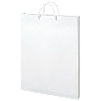 額縁手提袋　ベ５８４　白　Ａ３　１０枚
