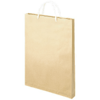 額縁手提袋　ベ５８５　茶　Ｂ４　１０枚