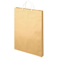 額縁手提袋　ベ０６２　茶　Ａ３　１０枚