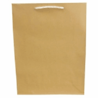 ペーパークラフト　７０４　大　１０枚入