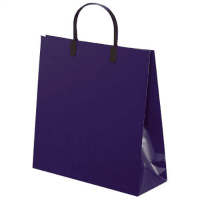 ラミネートバッグ　０１３　大　紺　５枚