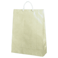 手提袋　ジャンボバック　Ｎｏ－１７０　ぞうげ