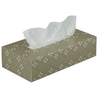 再生ティッシュペーパー　６０箱