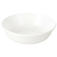 ポリプロ深皿１６ｃｍ　１０枚　４１６０１