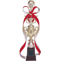 トロフィー　４１５Ｂ　高さ４１０ｍｍ