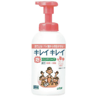 ＜泡＞キレイキレイ薬用泡ハンドソープフルーツ本体５５０ｍｌ