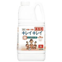 ＜泡＞キレイキレイ薬用泡ハンドソープフルーツ業務用２Ｌ