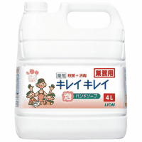 ＜泡＞キレイキレイ薬用泡ハンドソープフルーツ業務用４Ｌ