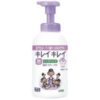 ＜泡＞キレイキレイ薬用泡ハンドソープフローラル本体５５０ｍｌ