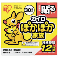 カイロ　ぽかぽか家族　貼る　レギュラー　３０個×８箱
