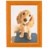 写真立て　Ｍｔ－Ｋ２　ブラウン