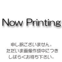 引出し用仕切板　ＬＡ－ＳＩ－ＳＳ