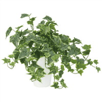 人工樹木　グレイシアアイビー　９０８５３