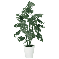 人工樹木　モンステラＲ　９０８５６