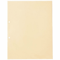 ＯＰＰ製透明ポケット　Ａ４縦２穴　中紙あり　５０枚Ｄ１１９Ｊ