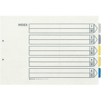 カラーインデックスＡ３横２穴　１０００Ｅ　５色５山×１０組