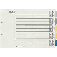 カラーインデックスＢ４横２穴　９０９Ｅ　５色５山×１０組