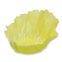 ベジカップ　ＳＴ２１３５２９