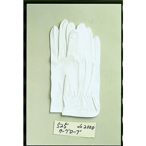 カーグローブＮｏ．２０００