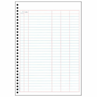 バインダー元帳　２９７×２１０ｍｍ（単票）　４１２４