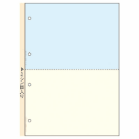 マルチプリンタ帳票Ａ４カラー２面４穴ＦＳＣ２０１１　１００枚