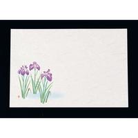 尺３四季懐石まっと（５０枚入）　菖蒲