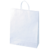 紙手提袋　Ｌ　１００枚入