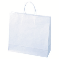 紙手提袋　Ｍ　１００枚入