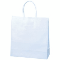 紙手提袋　Ｓ　１００枚入