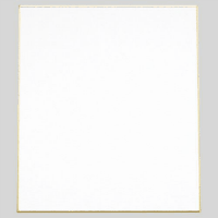 色紙　画仙　１枚パック入シ－５５１