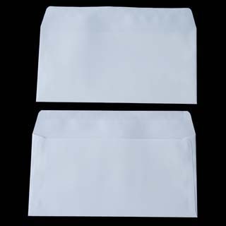 洋長3 カマス貼 本ケントCoC 100 〒枠ナシ