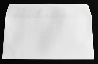 洋長3 カマス貼 ファンシー 061 100 〒枠ナシ