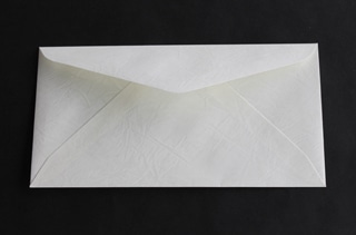 洋6 ダイヤ貼 ファンシーL(レザー) 100 〒枠ナシ