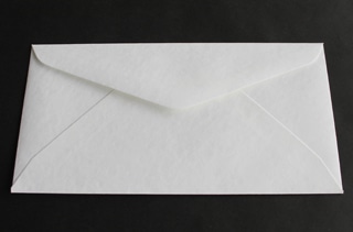 洋6 ダイヤ貼 ファンシーB(バブル) 115 〒枠ナシ