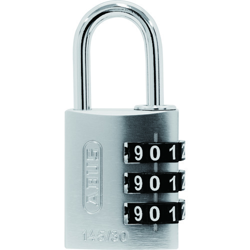 ＡＢＵＳ１４５－ＢｉｇＤ／３０ＳＩＬＶＥＲ