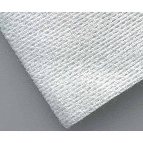 セントラーチ２　Ｎｏ．３０３０８　１０パック