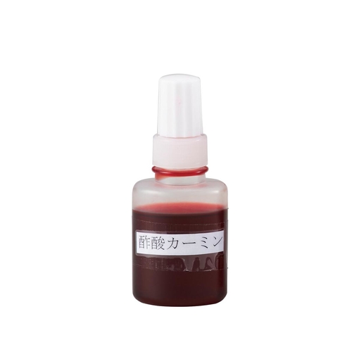 染色液　ＳＫ　酢酸カーミン　１５ｍＬ×１０本