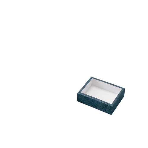 紙製コン虫標本箱　ＰＳ