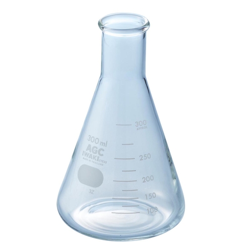 三角フラスコ（ＩＷＡＫＩ）　１０００ｍｌ