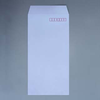 長3 スミ貼 ECアクア 100 〒枠入