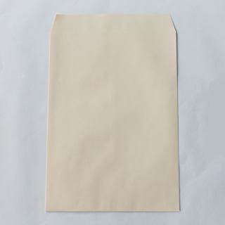 角3 スミ貼 ECベージュ 100 〒枠ナシ