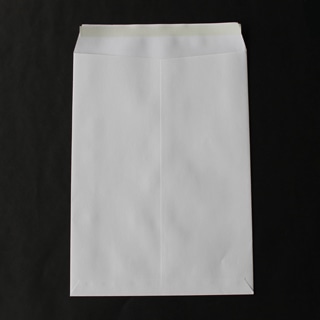 角2 中貼 本ケントCoC 100 スラット 〒枠ナシ