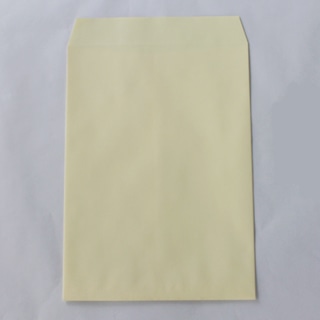 角2 中貼 ECクリーム 100 スラット 〒枠ナシ