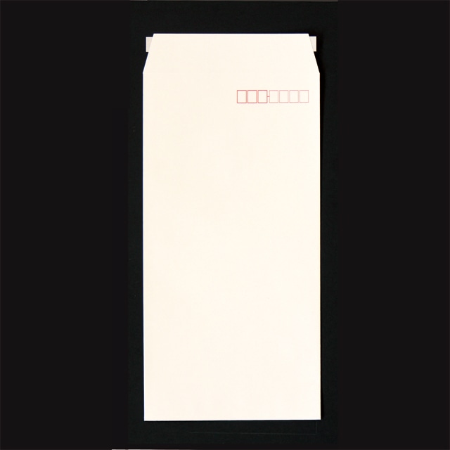 長3 スミ貼 ミエナイ白 80 スラット 〒枠入