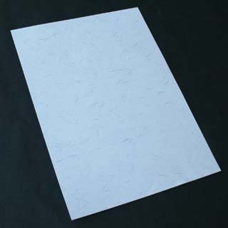 レゾン LS-Y4-中紙